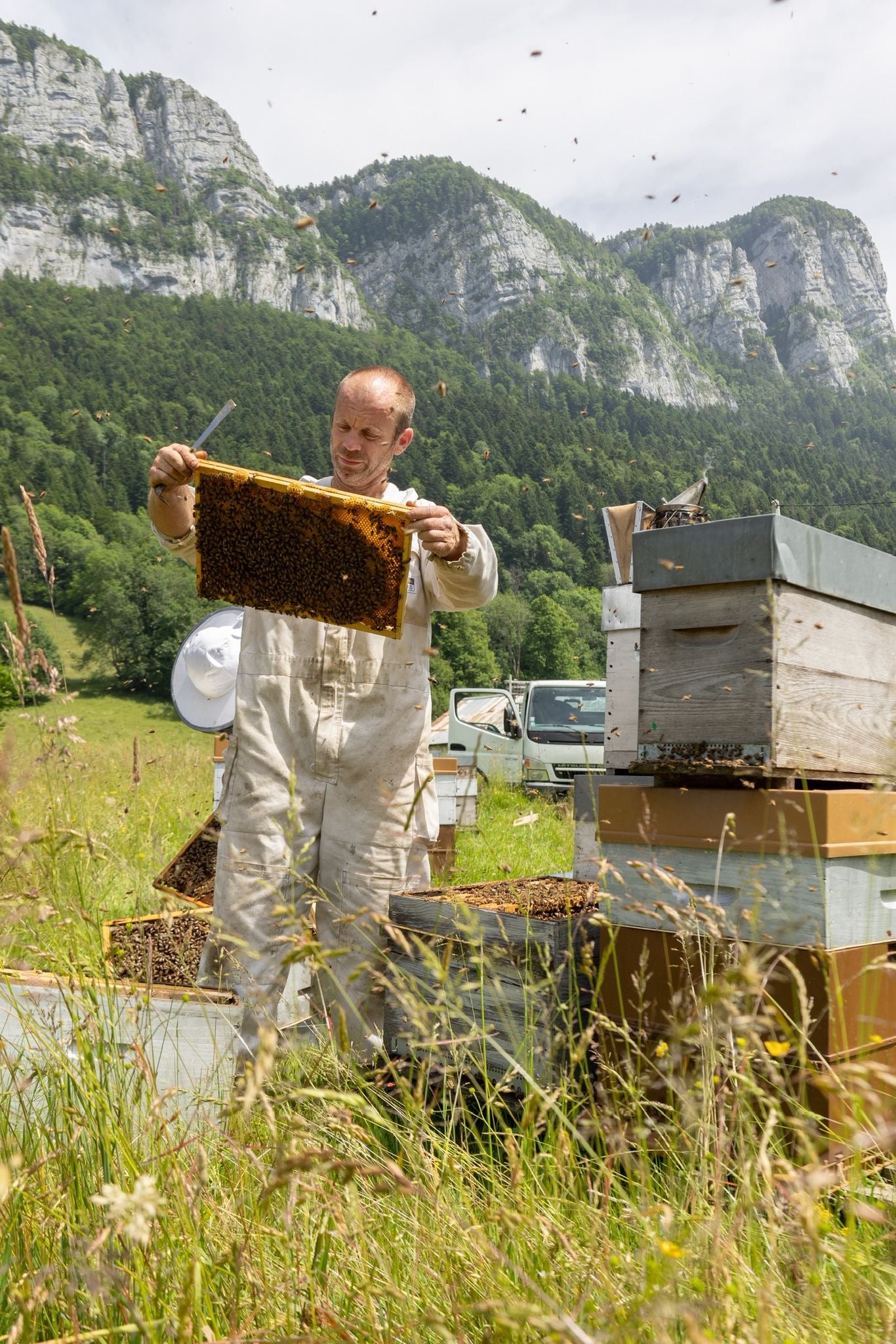 Community Manager agriculture Savoie, Isère, Haute-Savoie et Ain, formation Community manager pas cher
