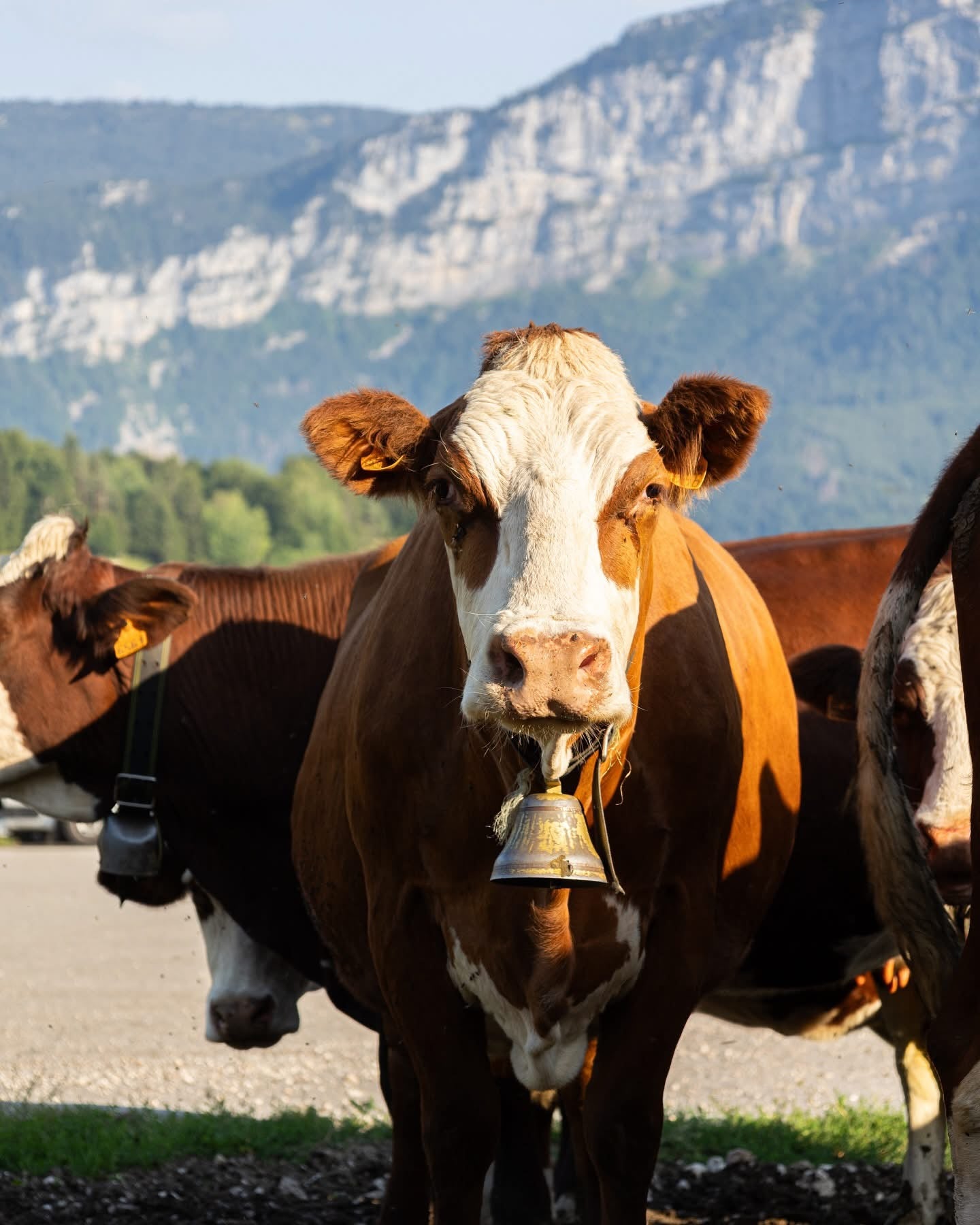 Community Manager agriculture Savoie, Isère, Haute-Savoie et Ain, formation Community manager pas cher